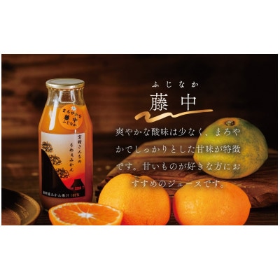 秦野産みかんストレートジュース(3本)