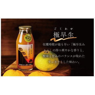 秦野産みかんストレートジュース(3本)