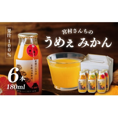 秦野産みかんストレートジュース(6本)