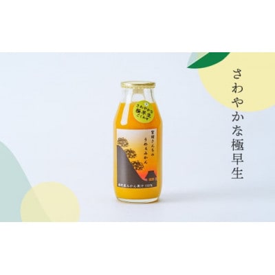 秦野産みかんストレートジュース(6本)