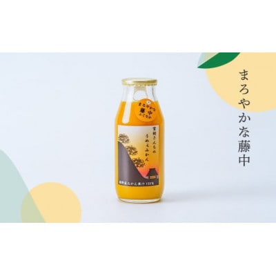 秦野産みかんストレートジュース(6本)