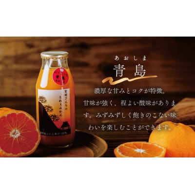 秦野産 みかん 100%ストレートジュース(10本)