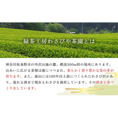 和紅茶!丹沢ゴッド・オブ・マウンテン