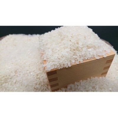 秦野の米(はるみ)精米　5kg×1袋