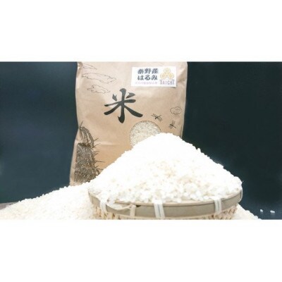 秦野の米(はるみ)精米　10kg×1袋　