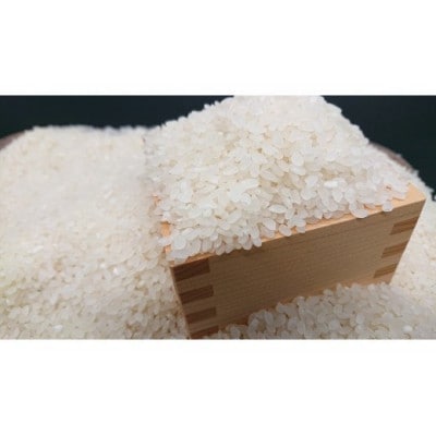 秦野の米(はるみ)精米　10kg×1袋　