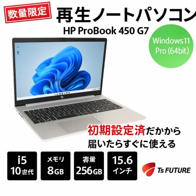 HP ProBook 450 G7