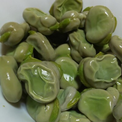 〈2026年5月発送予定〉みずみずしい!とれたてそら豆 約1,500g from 名水の里 秦野