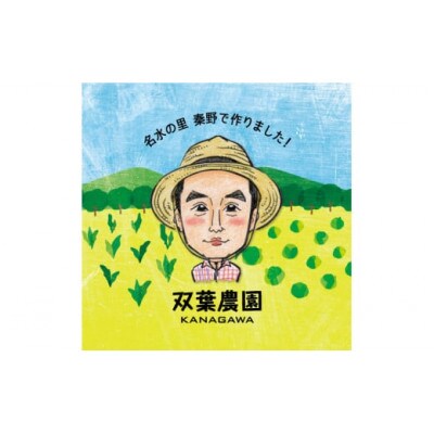 〈2024年6月～7月発送予定/関東地域限定配送〉白い贅沢 ピュアホワイト(とうもろこし) 約2kg