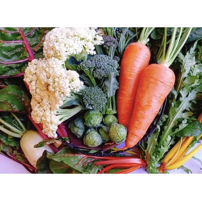 【2026年1月～発送】双葉農園の イチオシ の7種の野菜セット　from　名水の里　神奈川県秦野市