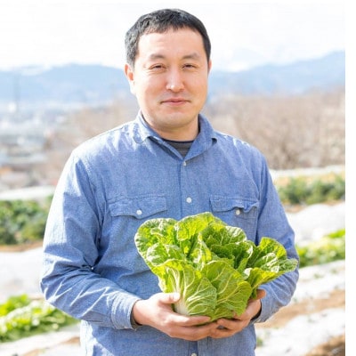 【2026年1月～発送】双葉農園の イチオシ の7種の野菜セット　from　名水の里　神奈川県秦野市