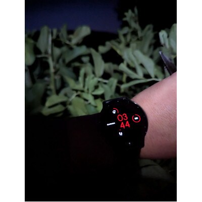 【2026年5月上旬～発送予定/関東地域限定配送】みずみずしい!とれたてそら豆 約1,000g