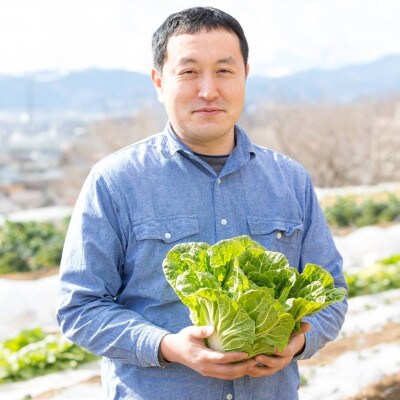 【2026年5月上旬以降発送予定】みずみずしい1粒 そら豆(約3600g)