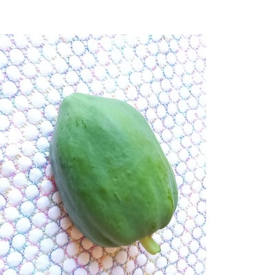 【スーパーフードとして注目の野菜(^^♪】青パパイヤ 実 2000g+葉っぱ2枚