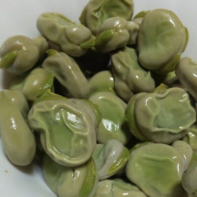 【2026年5月上旬発送予定】みずみずしい!とれたてそら豆 約1000g from 名水の里 秦野