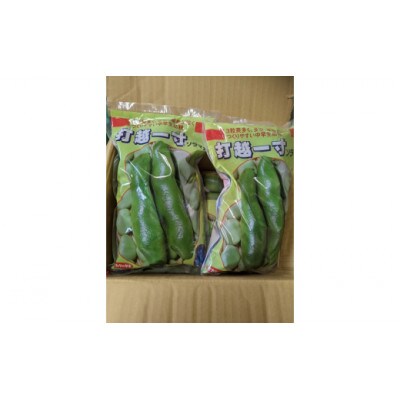 【2025年5月上旬発送予定】みずみずしい!とれたてそら豆 約3000g from 名水の里 秦野