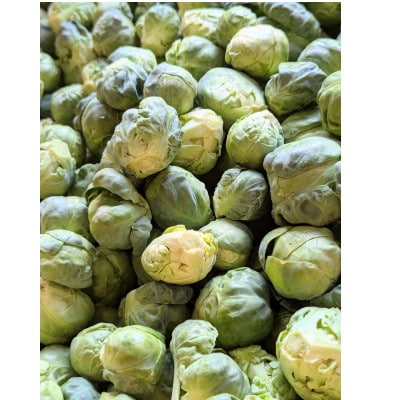 【2025年1月から発送予定】news every.で特集　芽キャベツ　2,000g