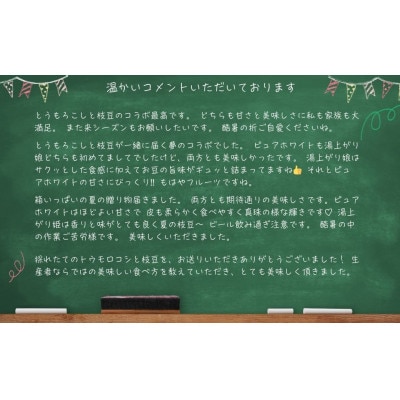 【2026年7月上旬順次発送予定】人気商品コラボ ピュアホワイト(2kg)+枝豆(3300g)