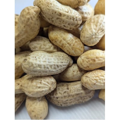 【2026年8月より順次発送】秦野の特産　生落花生　おおまさり　4000g　from 名水の里 秦野