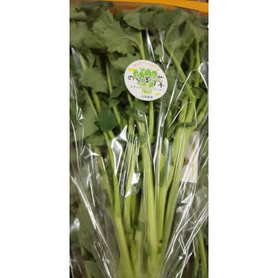 2026年春   ええ?大飢饉を救った?【春を告げる野菜】のらぼう菜　800g