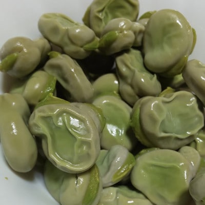 【2026年5月上旬～発送予定/関東地域限定配送】みずみずしい!とれたてそら豆 約2,000g