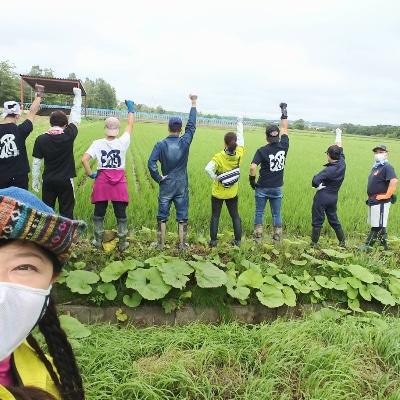 栽培期間中農薬不使用　ゆめぴりか(精米)10kgゆたか米　タカシマファーム×銘酒の裕多加