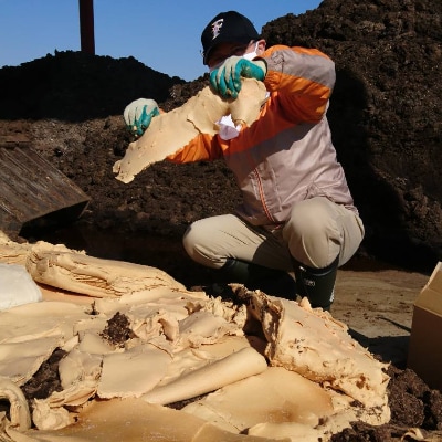 栽培期間中農薬不使用　ゆめぴりか(精米)10kgゆたか米　タカシマファーム×銘酒の裕多加