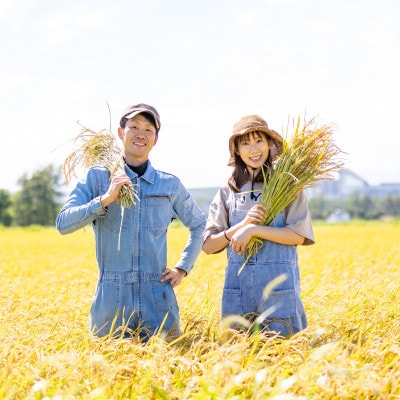 2024年5月発送開始『定期便』田園交響楽ゆめぴりか(精米)10kg 全3回