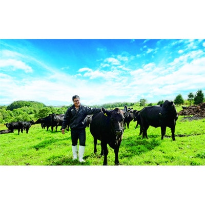 北海道北広島産ブラックアンガス牛　辛口　宮北牧場カレー[1人前(200g)×4箱]