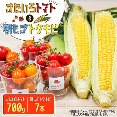 【2026年8月～9月上旬発送】きたいろトマト(700g)&朝もぎトウキビ(7本)のセット　
