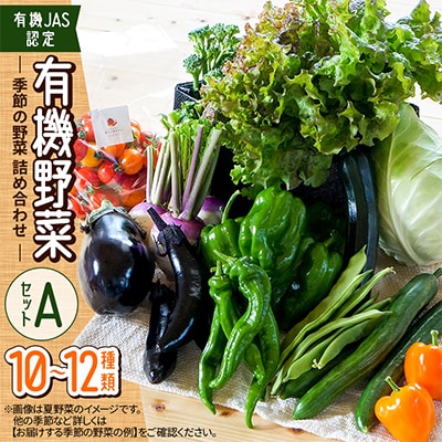 【有機JAS認定】有機野菜セットA 季節の野菜 詰め合わせ(10～12種類)