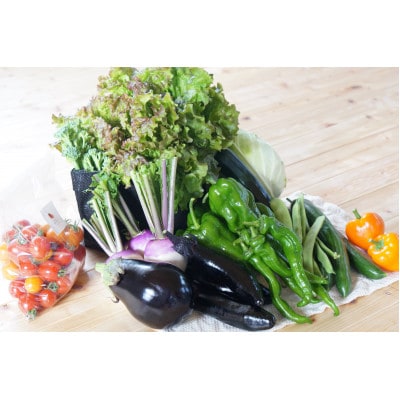 【有機JAS認定】有機野菜セットA 季節の野菜 詰め合わせ(10～12種類)