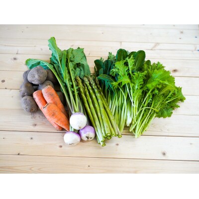 おまかせ旬野菜セット　10～12種類