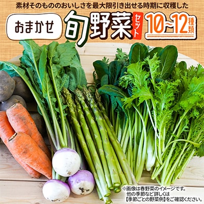 おまかせ旬野菜セット　10～12種類
