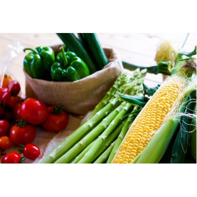 おまかせ旬野菜セット　10～12種類