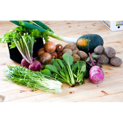 おまかせ旬野菜セット　10～12種類