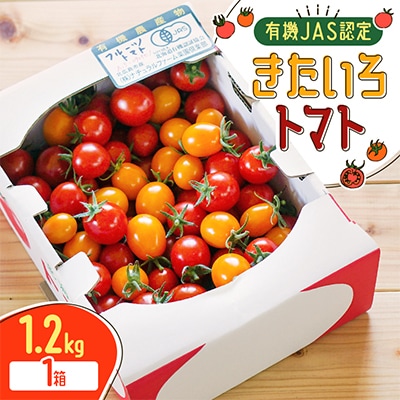 【有機JAS認定】きたいろトマト1.2kg×1箱　9月下旬まで順次発送