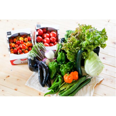 【有機JAS認定】有機野菜セットB 季節の野菜 詰め合わせ(15～18種類)