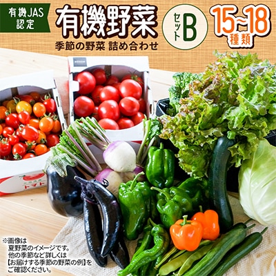 【有機JAS認定】有機野菜セットB 季節の野菜 詰め合わせ(15～18種類)