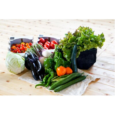 【有機JAS認定】有機野菜セットB 季節の野菜 詰め合わせ(15～18種類)