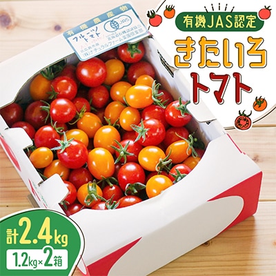 【有機JAS認定】きたいろトマト2.4kg(1.2kg×2箱)　9月下旬まで順次発送