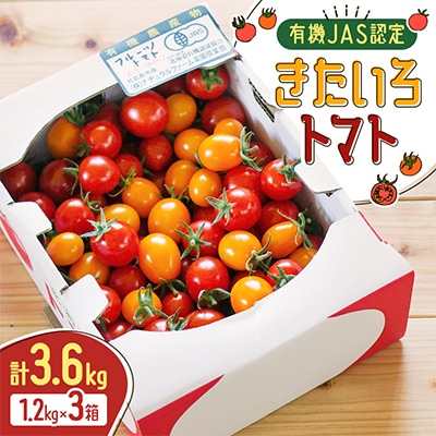 【有機JAS認定】きたいろトマト3.6kg(1.2kg×3箱)　9月下旬まで順次発送