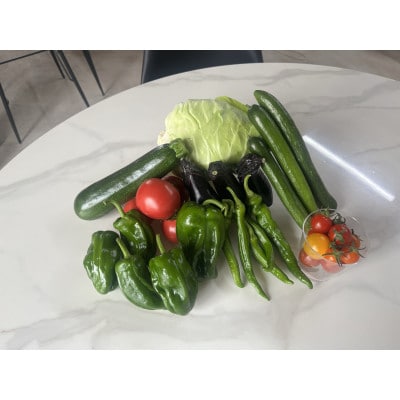 【有機JAS認定】有機野菜セットC 季節の野菜 詰め合わせ(7～8種類)