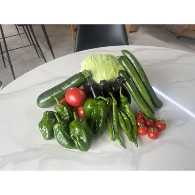 【有機JAS認定】有機野菜セットC 季節の野菜 詰め合わせ(7～8種類)