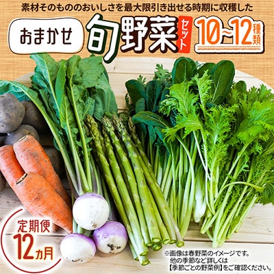 【毎月定期便】おまかせ旬野菜セット　10～12種類全12回
