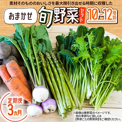 【毎月定期便】おまかせ旬野菜セット　10～12種類全3回