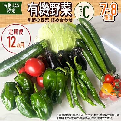 【毎月定期便】【有機JAS認定】有機野菜セットC 季節の野菜 詰め合わせ(7～8種類)全12回