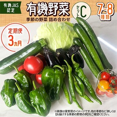 【毎月定期便】【有機JAS認定】有機野菜セットC 季節の野菜 詰め合わせ(7～8種類)全3回