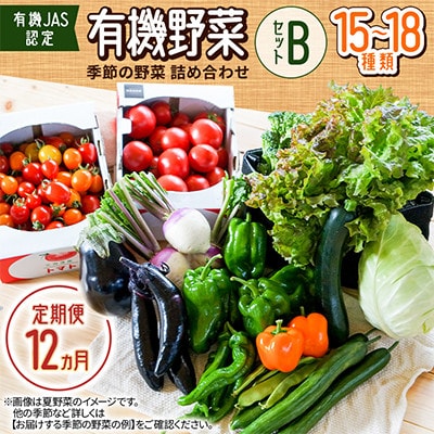 【毎月定期便】【有機JAS認定】有機野菜セットB 季節の野菜 詰め合わせ(15～18種類)全12回