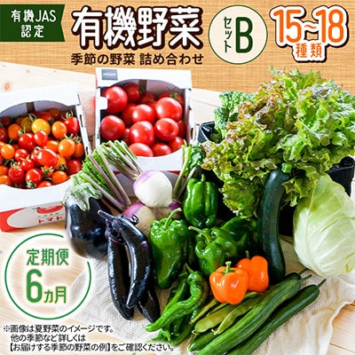 【毎月定期便】【有機JAS認定】有機野菜セットB 季節の野菜 詰め合わせ(15～18種類)全6回